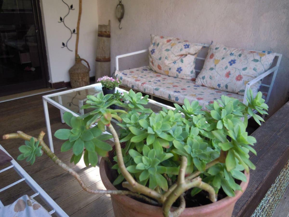 Angie'S Shared Villa Tam Tirana Zewnętrze zdjęcie
