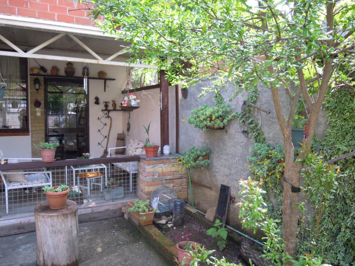 Angie'S Shared Villa Tam Tirana Zewnętrze zdjęcie