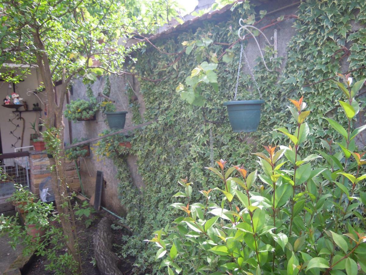 Angie'S Shared Villa Tam Tirana Zewnętrze zdjęcie