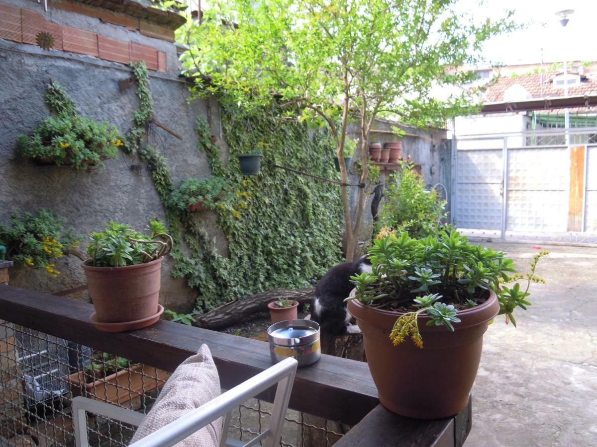 Angie'S Shared Villa Tam Tirana Zewnętrze zdjęcie